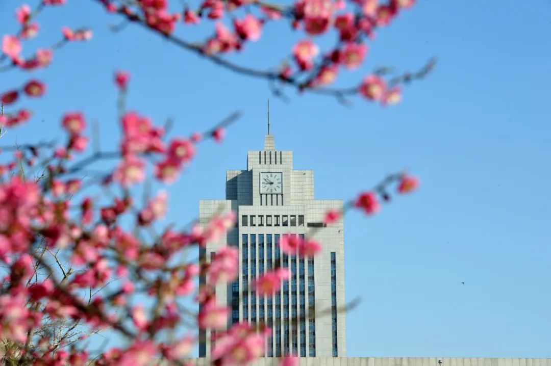 济南最全踏春赏梅攻略来了，快来邂逅“梅”好时光