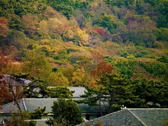 设施焕新、精耕内容，威海刘公岛推动景区各项事业高质量发展