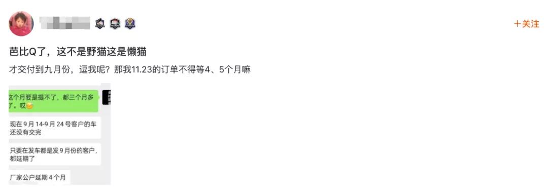 3·15在行动丨欧拉回应停售“黑白猫”，竟有经销商加价卖现车