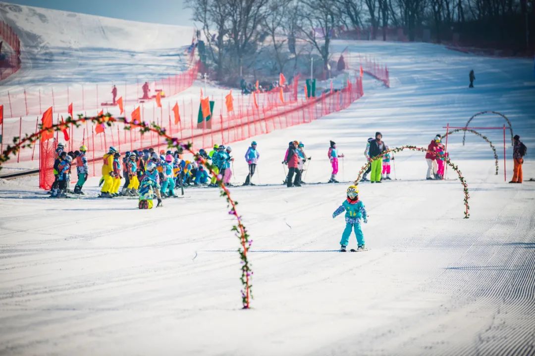 设施先进  借力冬奥，长春莲花山世茂滑雪场成“冰雪热”最红打卡地