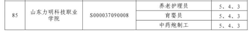 力明科技学院获批山东省职业技能等级认定社会培训评价组织单位