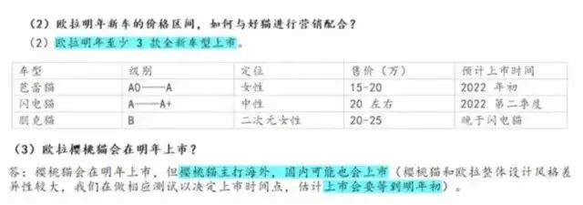 卖出一台亏损万元，欧拉汽车CEO解释“黑、白猫”停止接单：确实遇到了困难