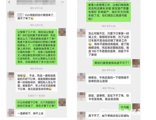 3·15在行动丨下单不交车、承诺不兑现、功能“神奇”消失......吉利几何EX3功夫牛遭车主集体投诉