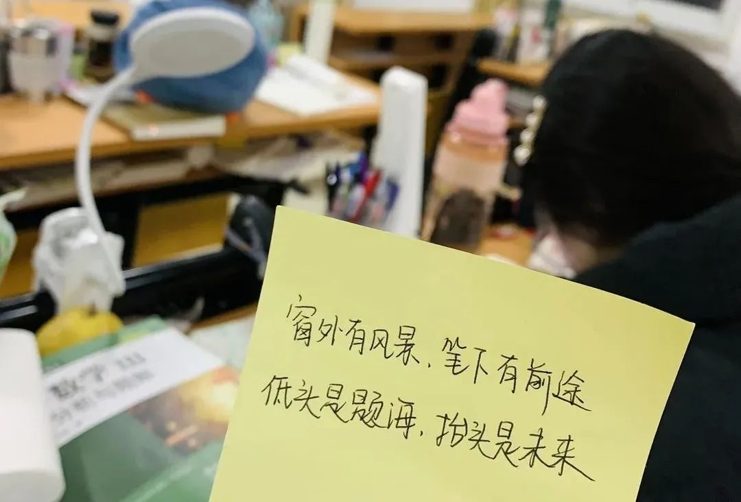 智博教育丨自荐生也会是本科生