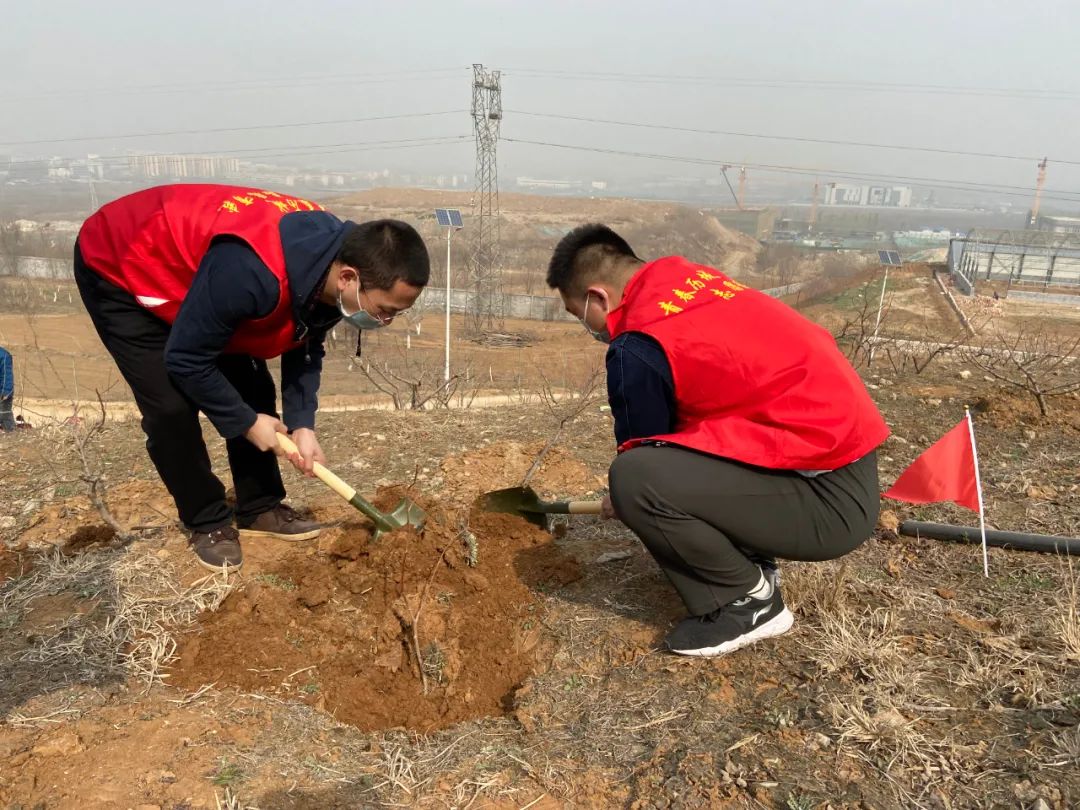 手植一株绿，心栽一片林——沃尔德集团团委开展义务植树活动