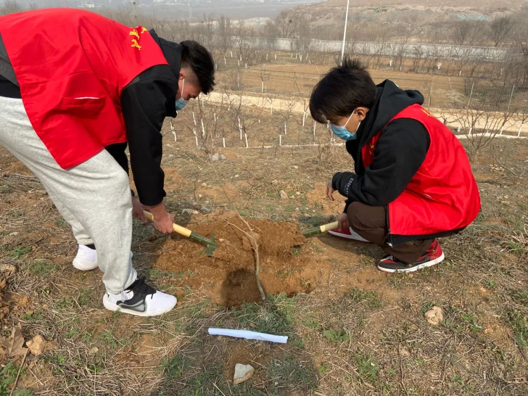 手植一株绿，心栽一片林——沃尔德集团团委开展义务植树活动