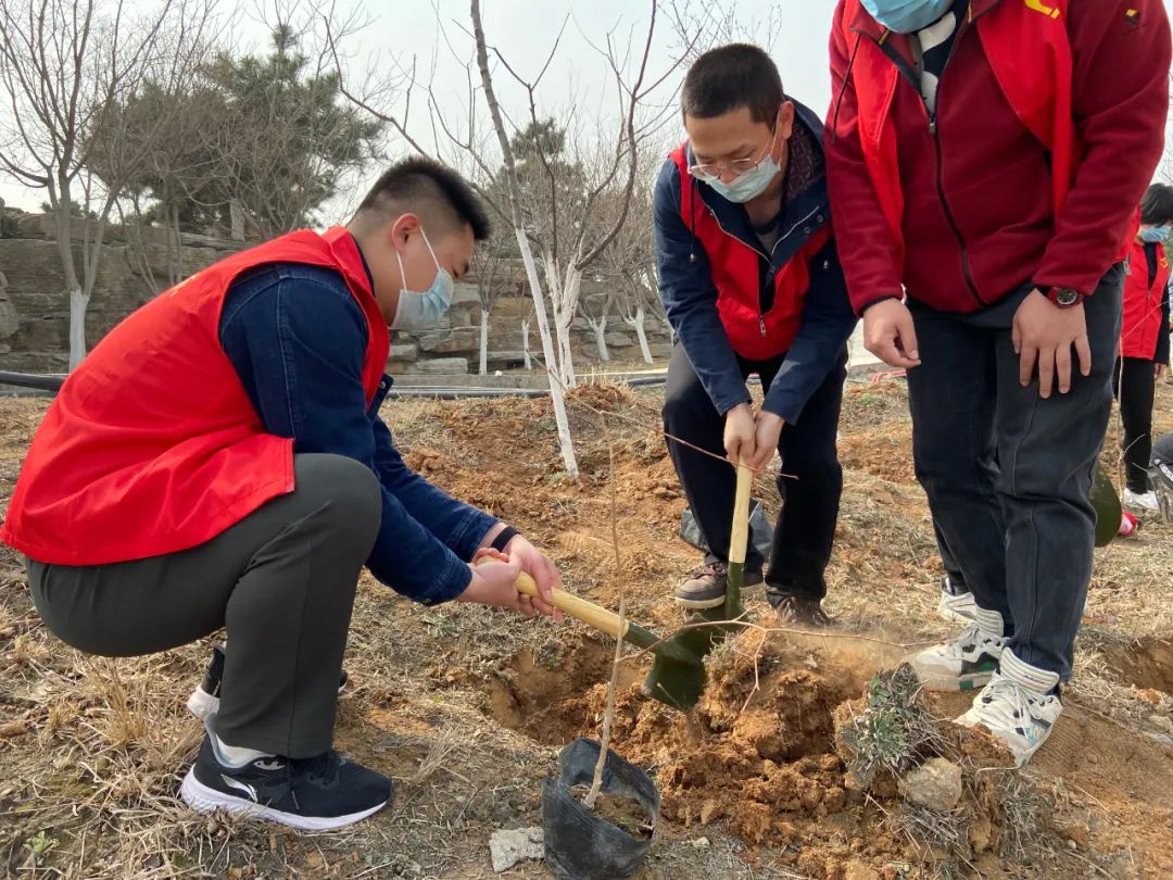 手植一株绿，心栽一片林——沃尔德集团团委开展义务植树活动