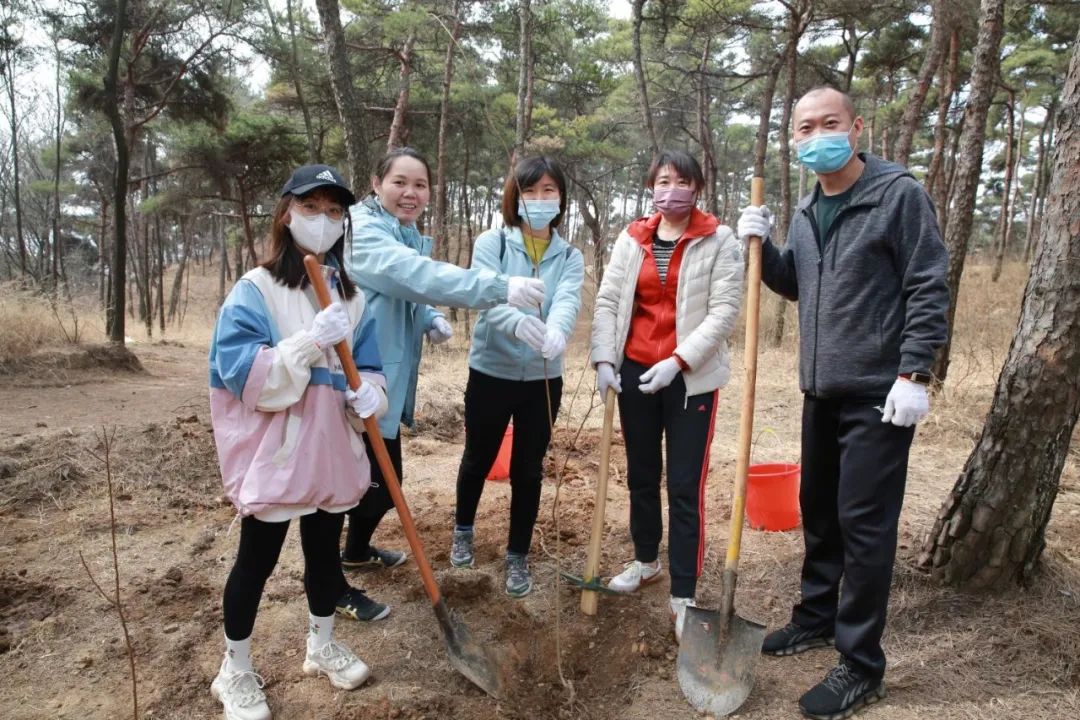 春风十里绿意浓——山东美术馆开展义务植树活动