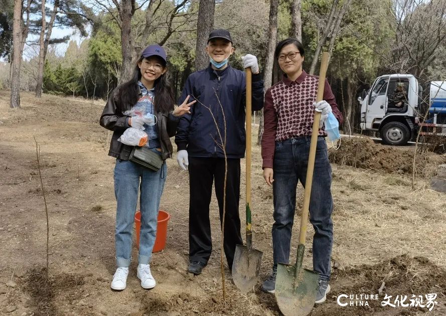 春风十里绿意浓——山东美术馆开展义务植树活动