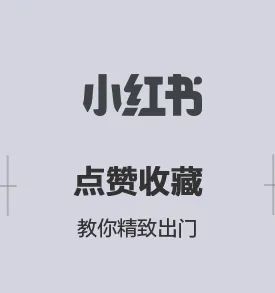 环保用料打造都市森林座舱——吉利领克09的“鲜”气秘密