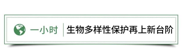 地球熄灯一小时日，海尔用科技为地球贡献一份“绿色”