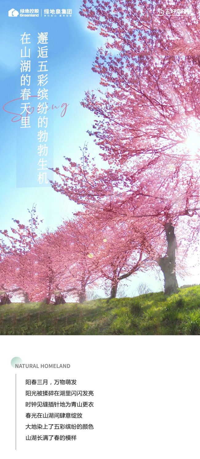 山黛水碧、青绿花黄、白墙灰瓦……在济南绿地泉·溪山境邂逅美好春日