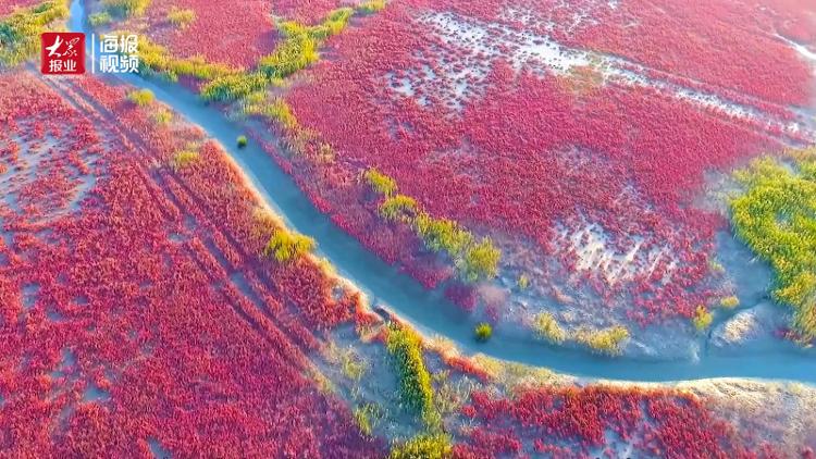 用画笔诠释黄河湿地之美——著名画家常朝晖《大美山东·墨染》黄河入海口篇发布