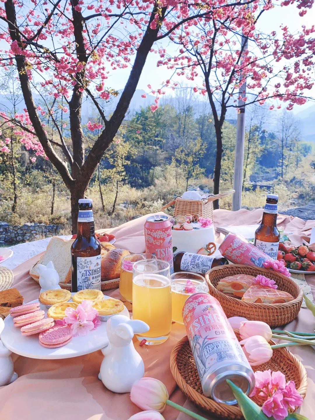 青岛啤酒配四月樱花，春日限定浪漫给你“高颜值”假期