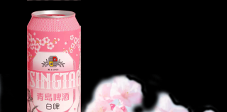 青島啤酒配四月櫻花，春日限定浪漫給你“高顏值”假期