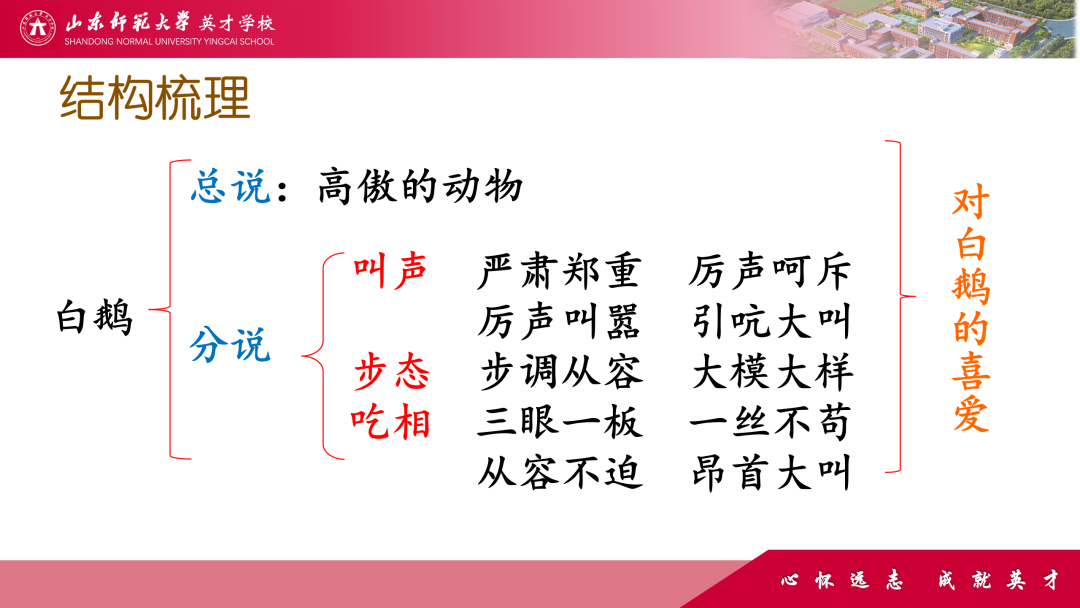 微精讲、微评价、微互动……山师英才“7V”线上教学变式下的课例展评