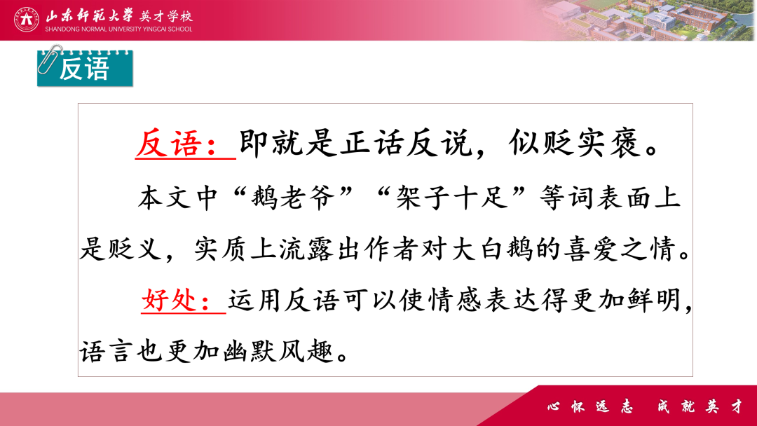 微精讲、微评价、微互动……山师英才“7V”线上教学变式下的课例展评