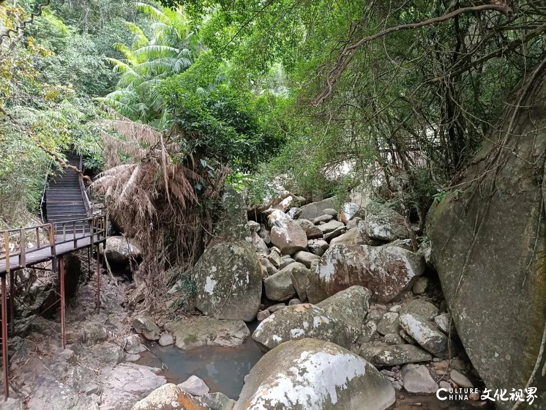 笔墨叙事  胜境留情——著名画家曾先国海南霸王岭写生记趣