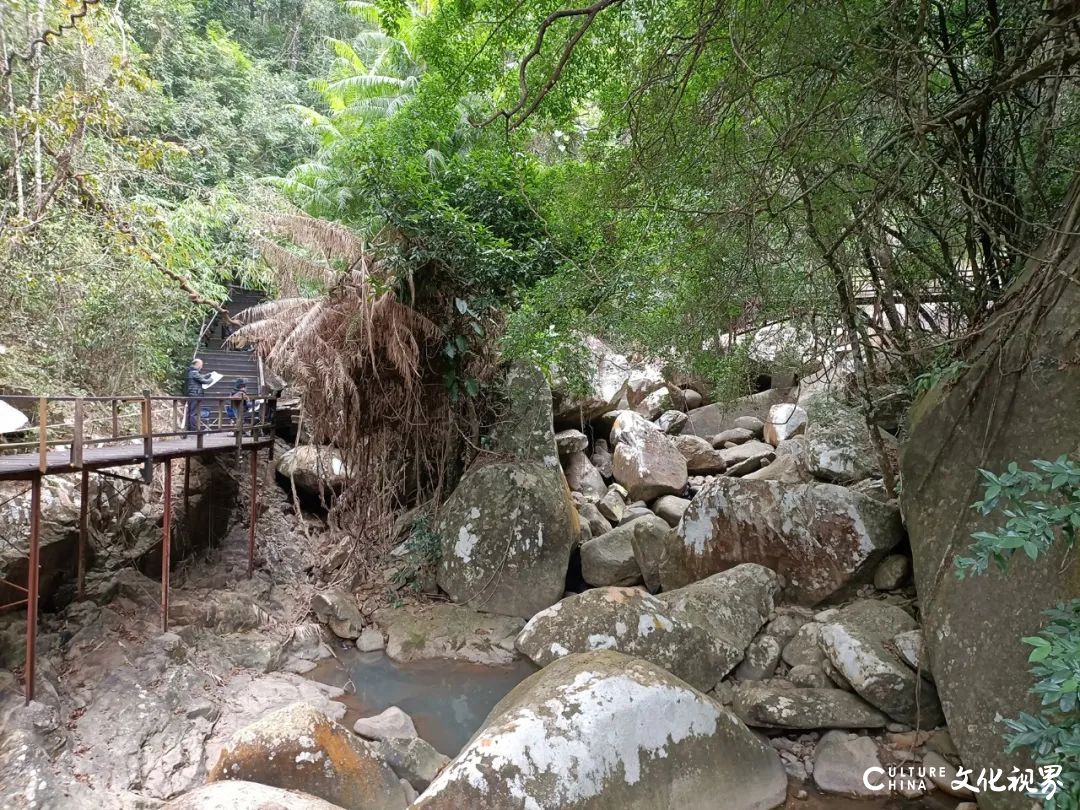 笔墨叙事  胜境留情——著名画家曾先国海南霸王岭写生记趣