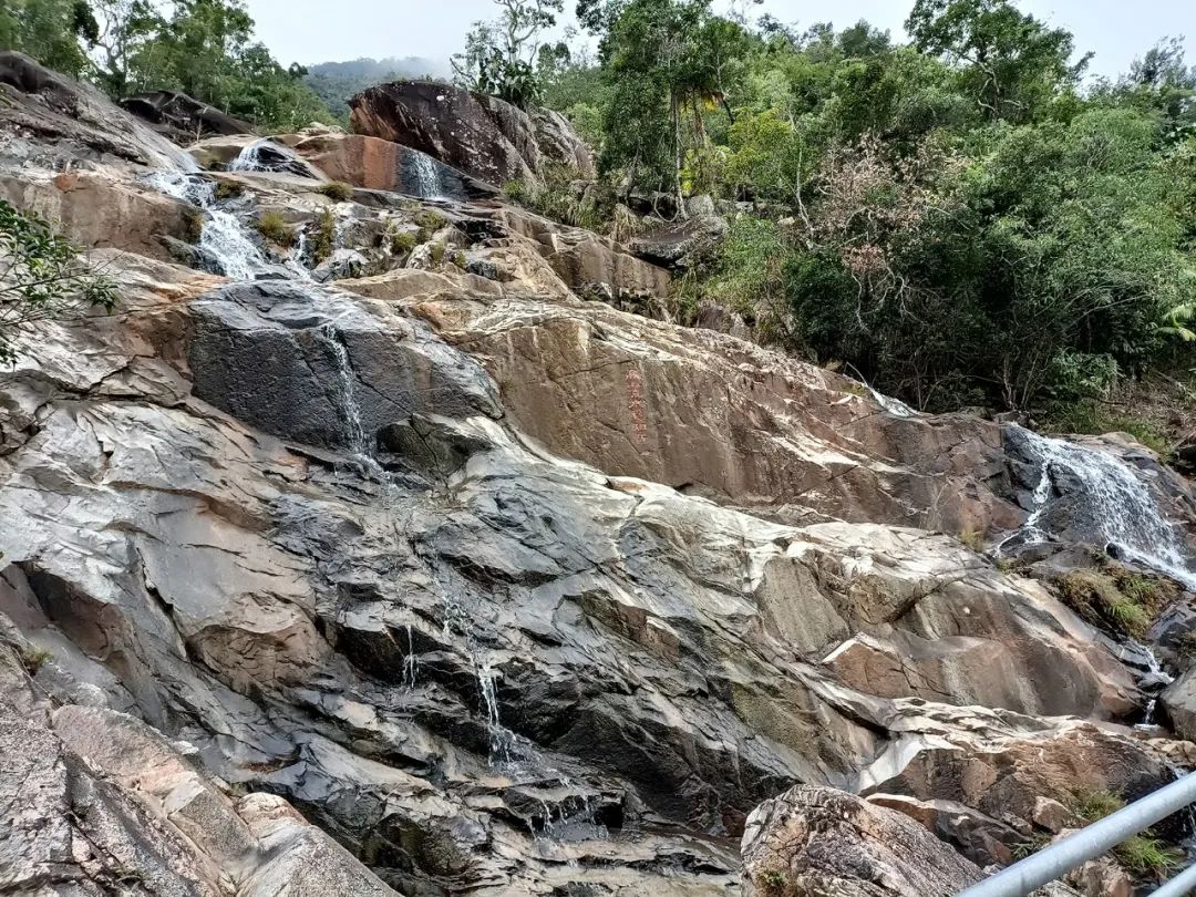 笔墨叙事  胜境留情——著名画家曾先国海南霸王岭写生记趣