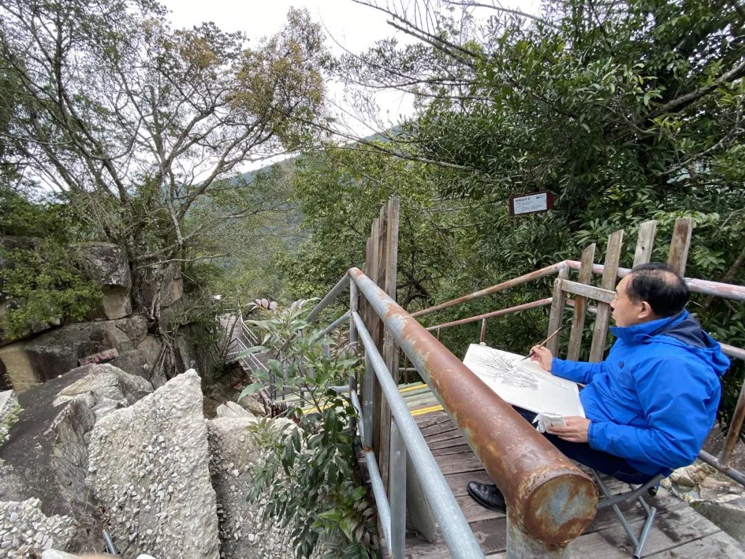 笔墨叙事  胜境留情——著名画家曾先国海南霸王岭写生记趣