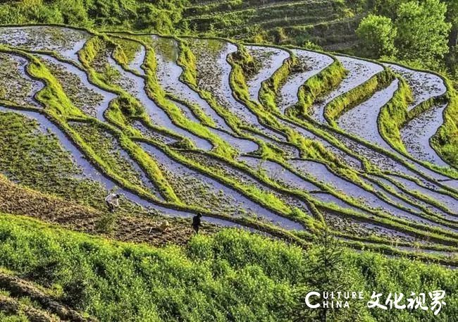 六部门推动文化产业赋能乡村振兴，文旅行业迎发展新机遇