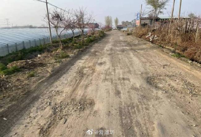 3·15在行动|潍坊昌乐县乔官镇有条“最烂通村路”，农民蔬菜运输很困难