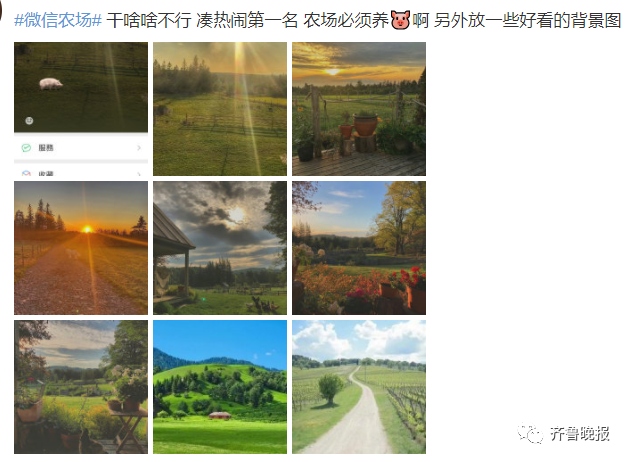 “微信农场”冲上热搜！不仅能养猪养羊，还能打蟑螂……