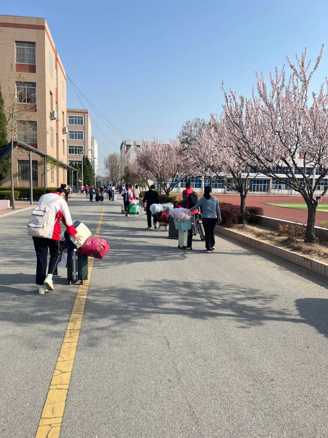 闻令而动，精准部署——记青岛莱西市第一中学首日复学