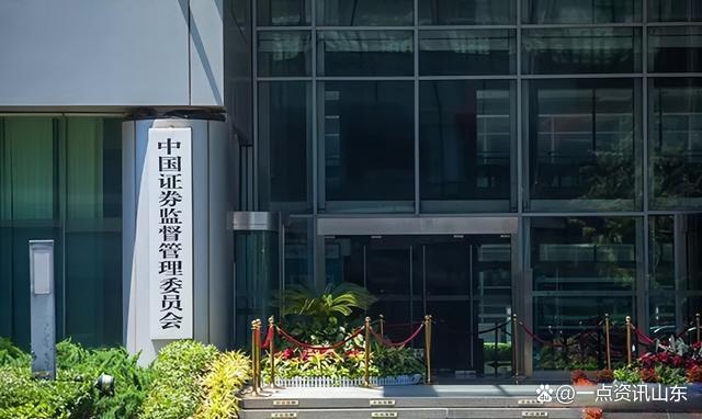 山东胜通集团财务造假案余震再现，大公国际被证监会罚没近500万元