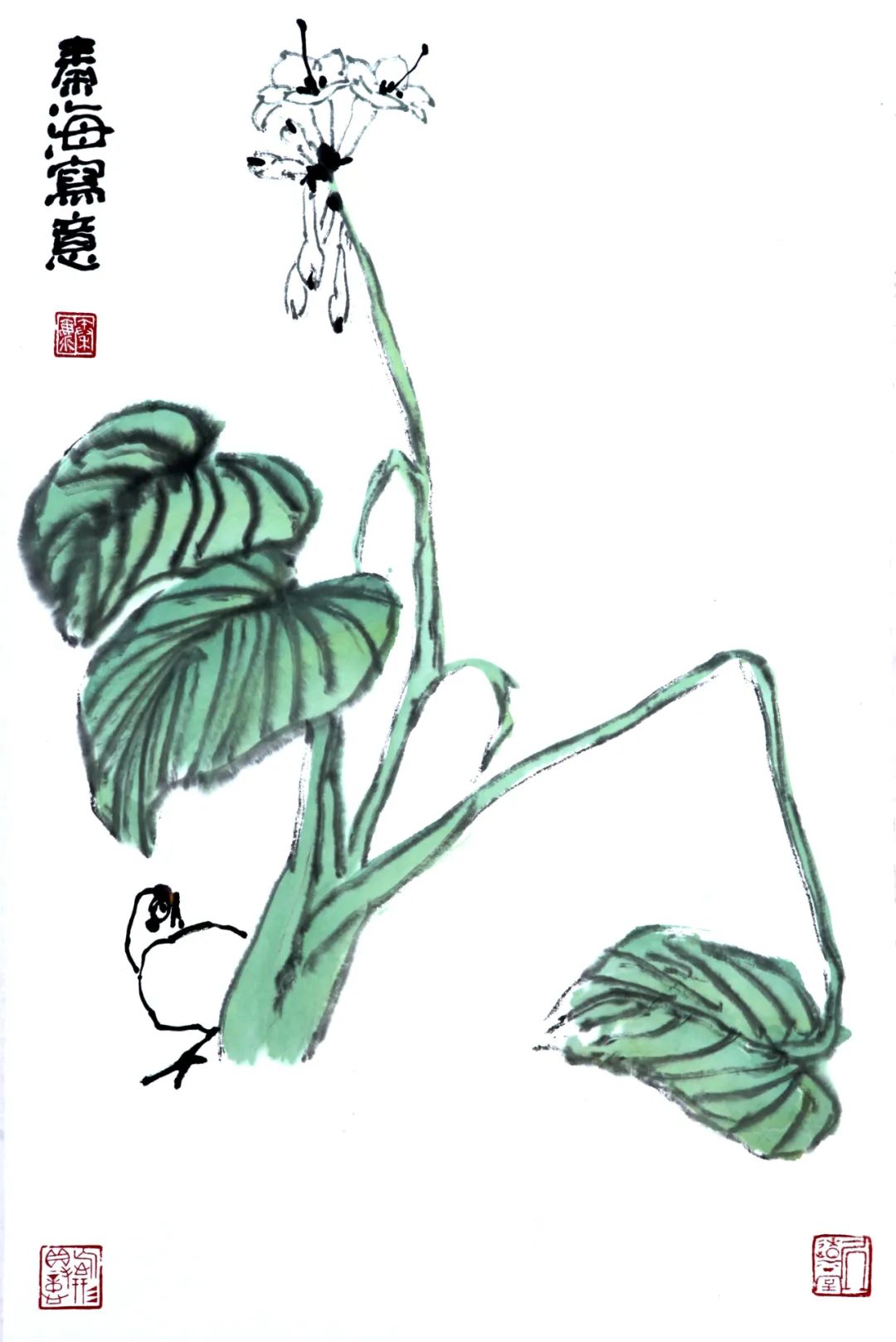 闻香识春——著名画家秦海笔下的红花翠羽