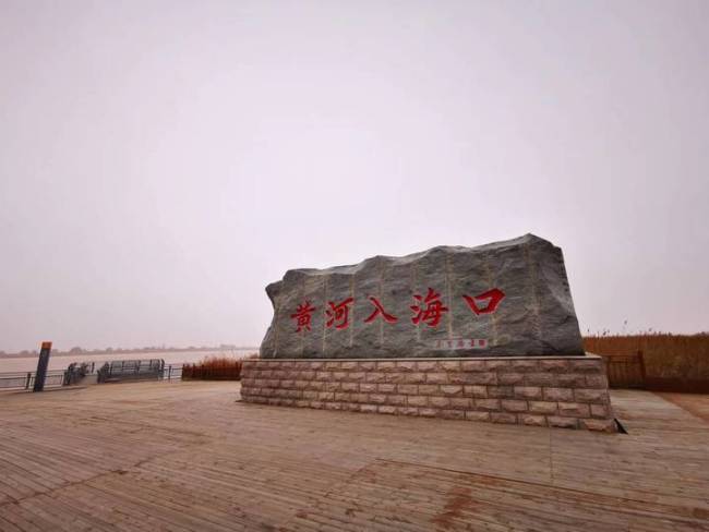山东省高质量创建黄河口国家公园