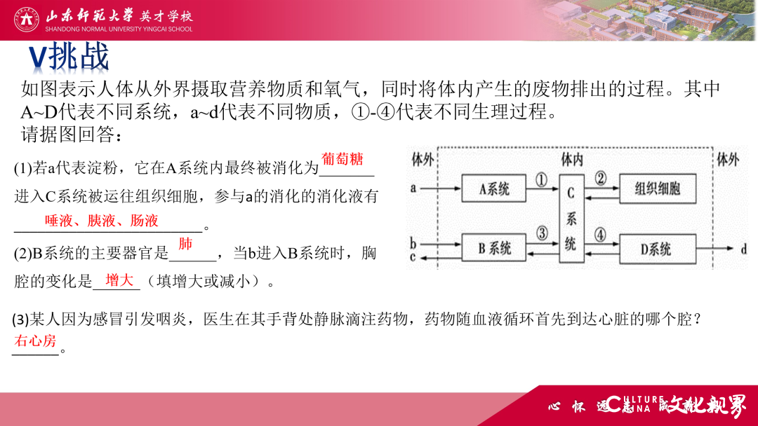 解码线上“7V”模型——山师英才“7V”线上教学变式下的初中学科课例精选（2）