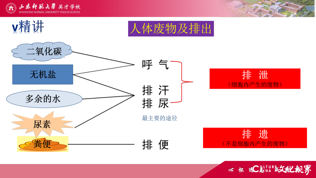 解码线上“7V”模型——山师英才“7V”线上教学变式下的初中学科课例精选（2）