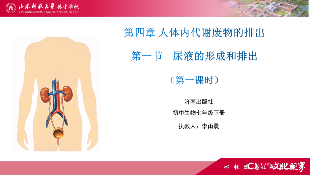 解码线上“7V”模型——山师英才“7V”线上教学变式下的初中学科课例精选（2）