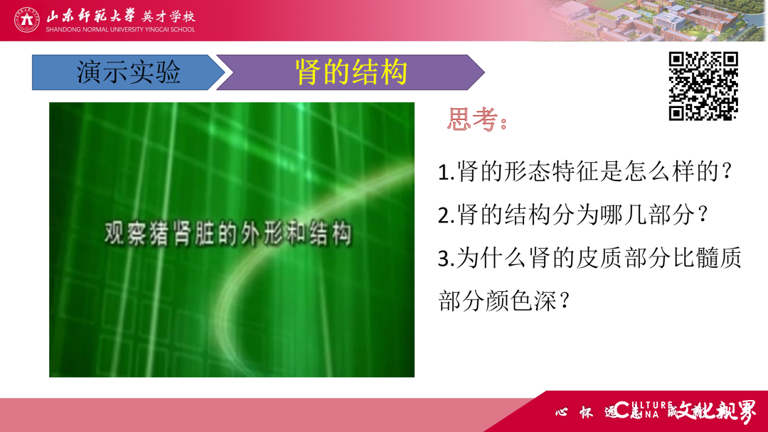 解码线上“7V”模型——山师英才“7V”线上教学变式下的初中学科课例精选（2）