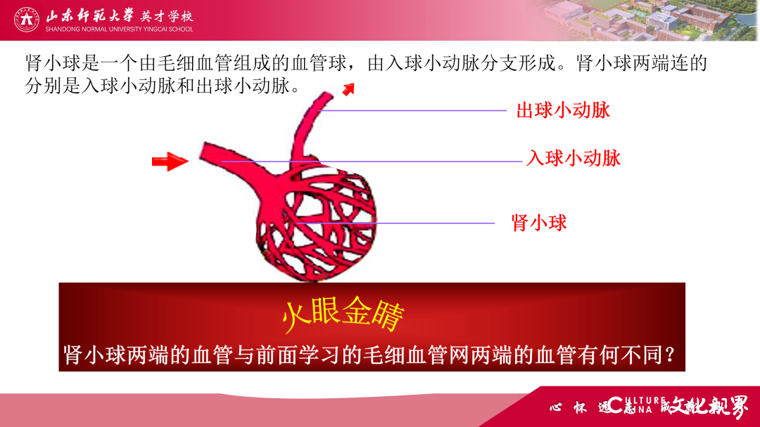 解码线上“7V”模型——山师英才“7V”线上教学变式下的初中学科课例精选（2）