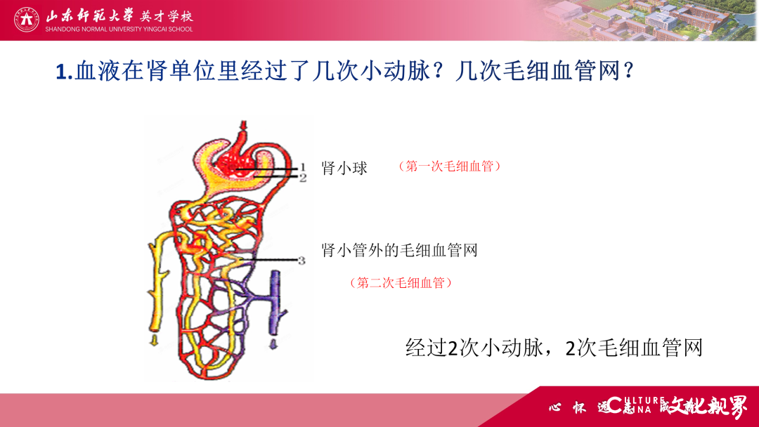 解码线上“7V”模型——山师英才“7V”线上教学变式下的初中学科课例精选（2）