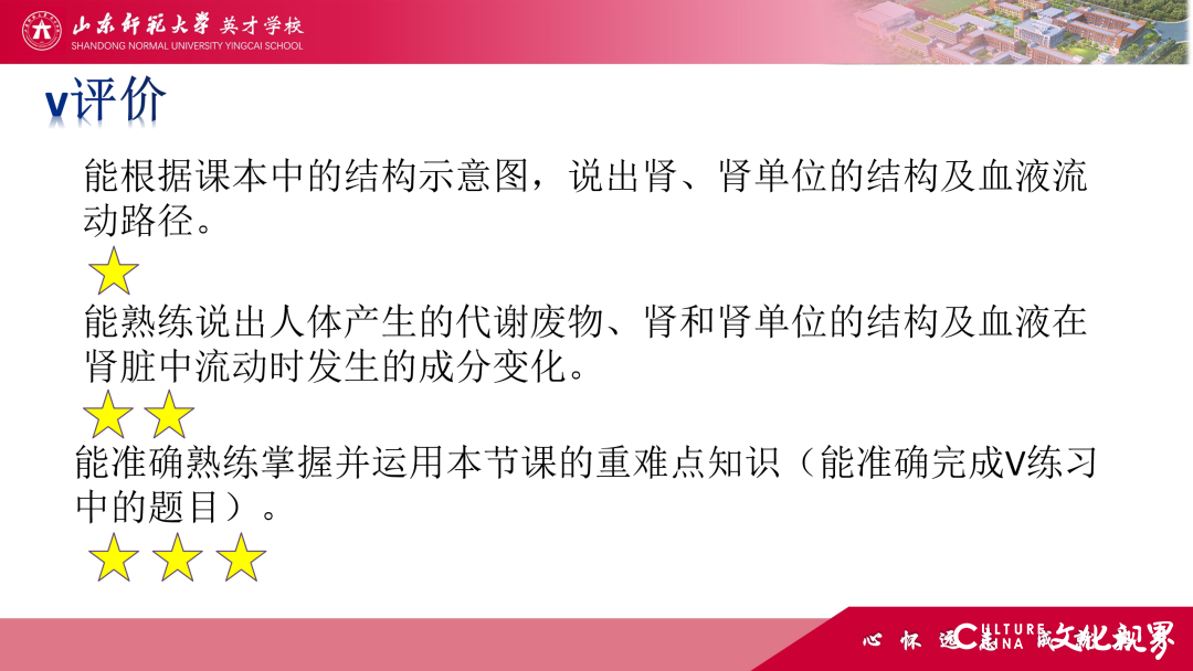 解码线上“7V”模型——山师英才“7V”线上教学变式下的初中学科课例精选（2）