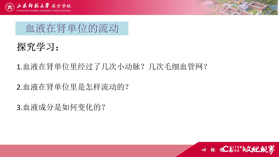 解码线上“7V”模型——山师英才“7V”线上教学变式下的初中学科课例精选（2）