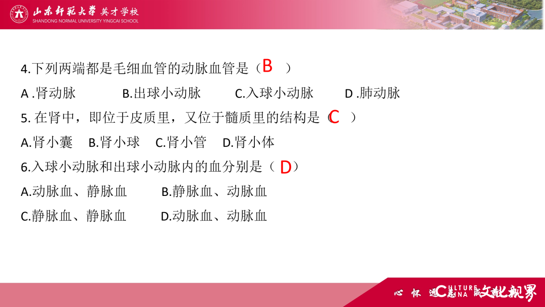 解码线上“7V”模型——山师英才“7V”线上教学变式下的初中学科课例精选（2）