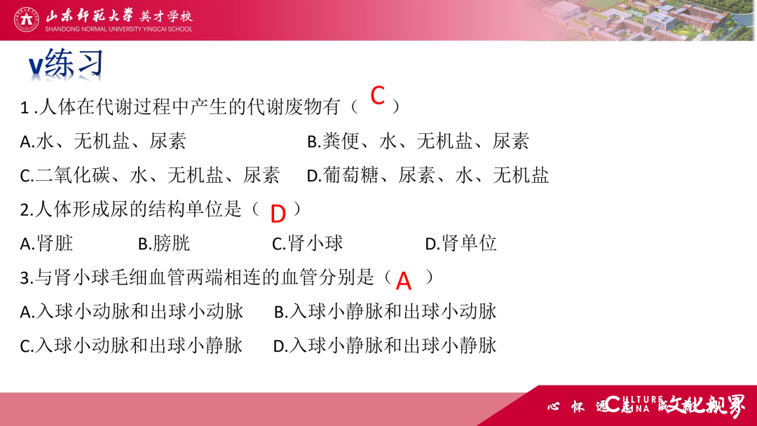 解码线上“7V”模型——山师英才“7V”线上教学变式下的初中学科课例精选（2）