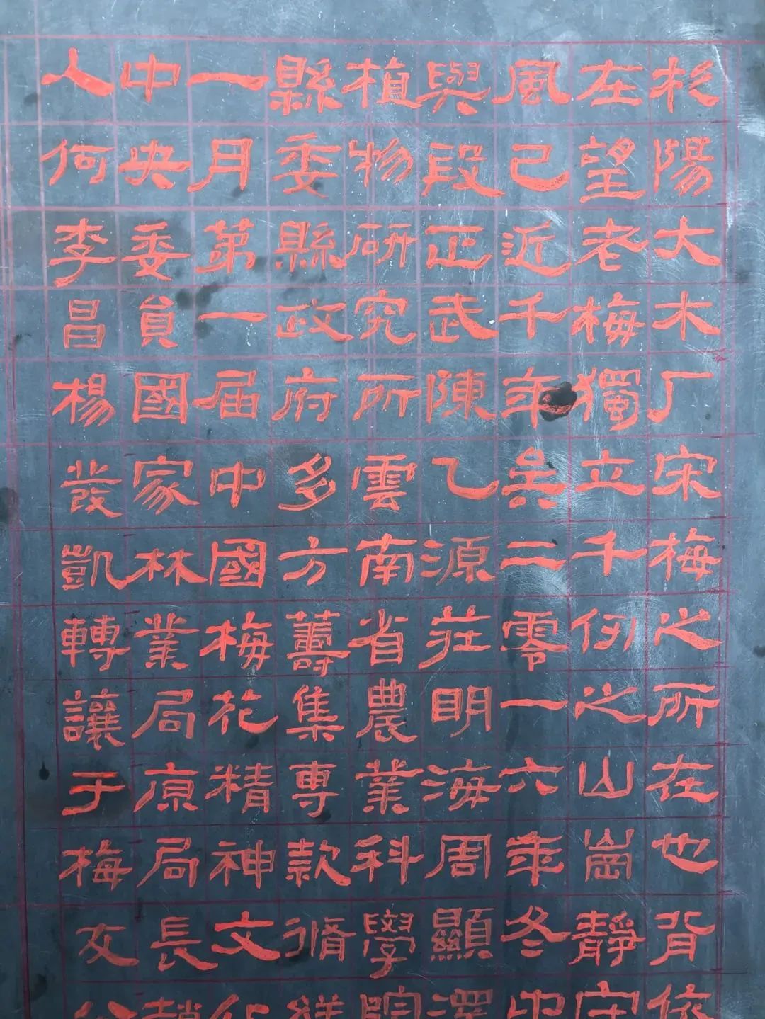 博南门第春常在，唐梅之家花永开——著名画家唐建与他的古梅奇缘