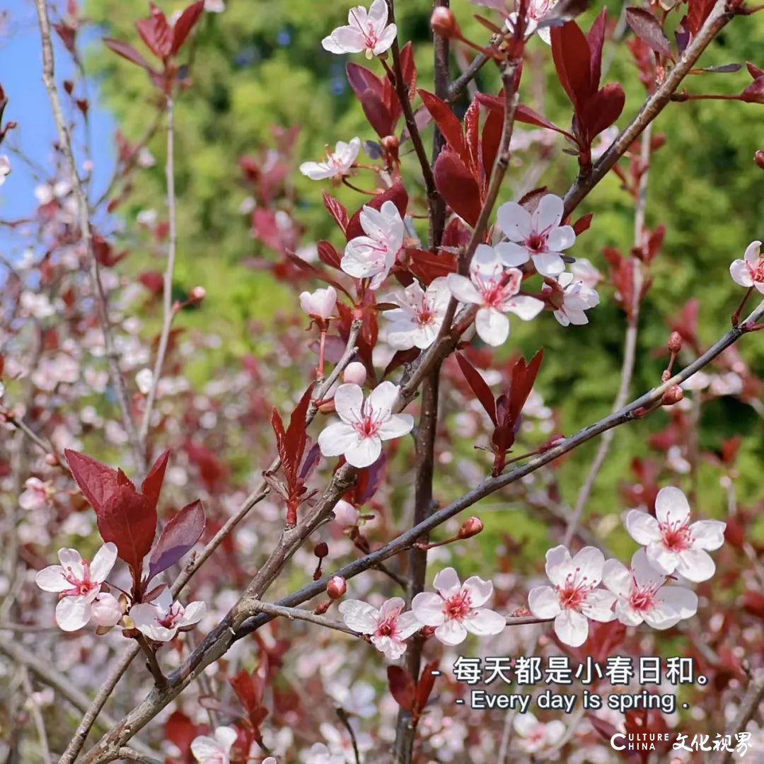 青山绿水萦绕，济南中电建·山水泉城玺城与“世外桃源”近在咫尺