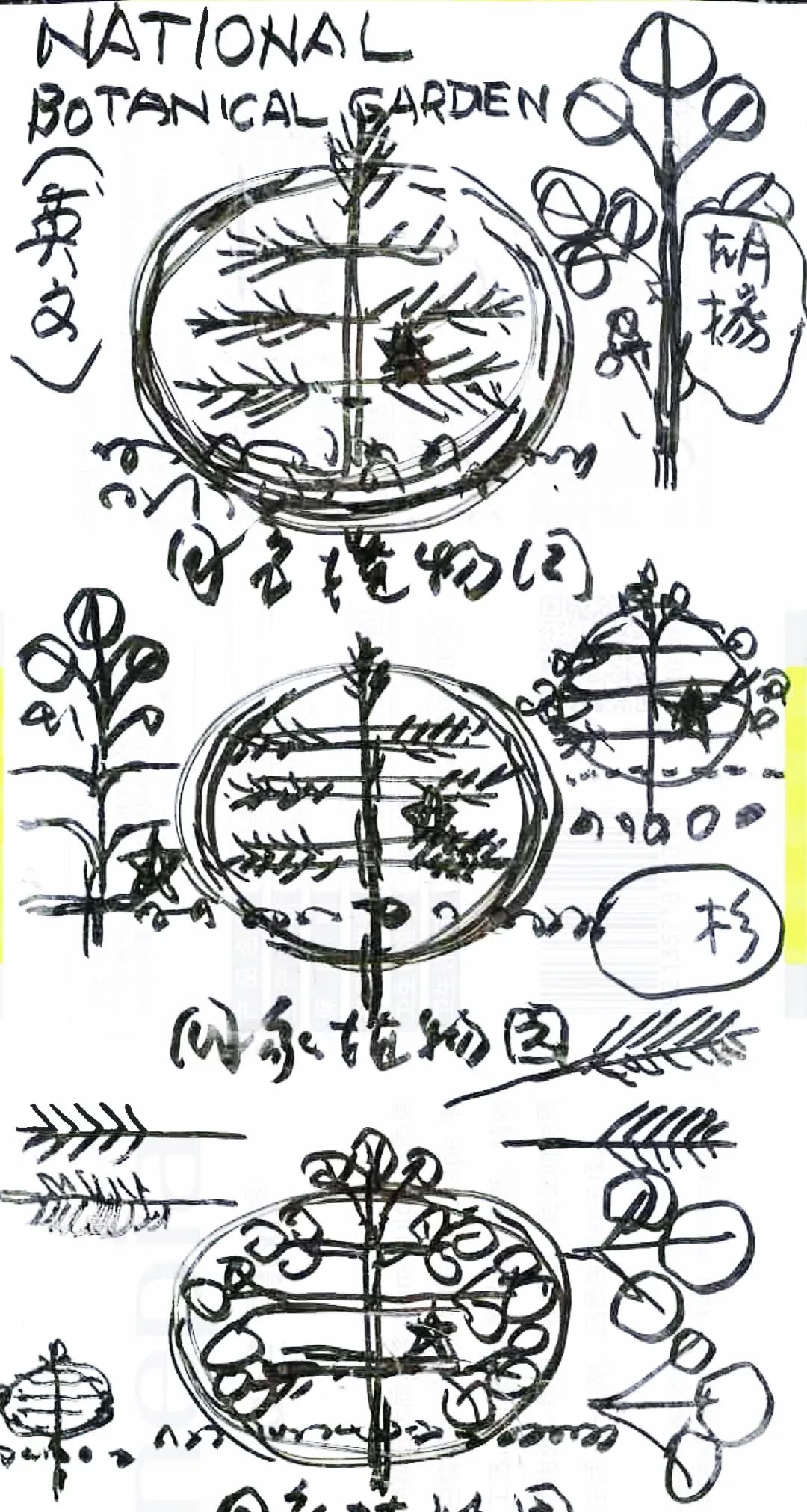 著名艺术家韩美林受邀设计Logo，国家植物园在京揭牌