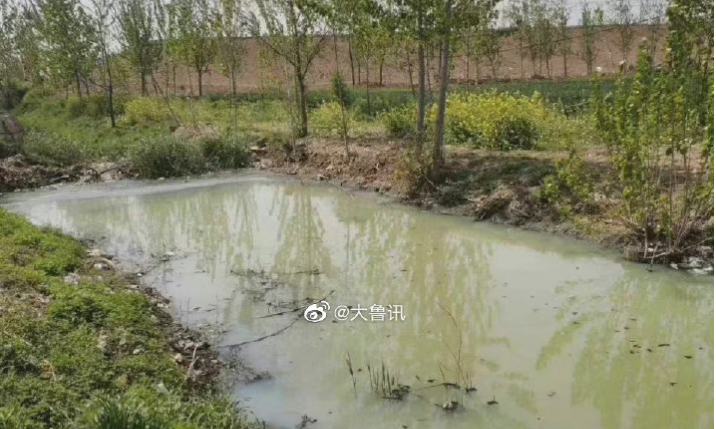菏泽巨野县洙赵新河被曝有大量污水排入，群众呼吁生态环境部门严查