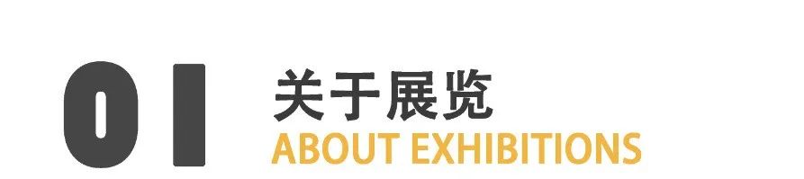 “三生万物——霜凝的艺术世界”将于5月28日在温州开幕
