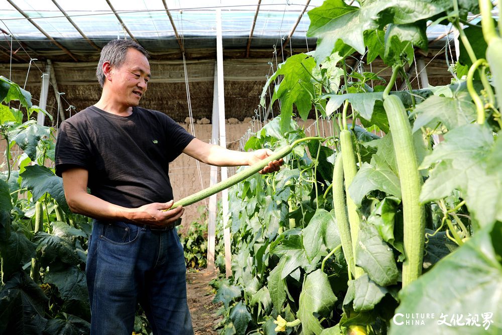 农村产业发展有了“朋友圈”，淄博高青县多举措为乡村振兴提供坚实保障
