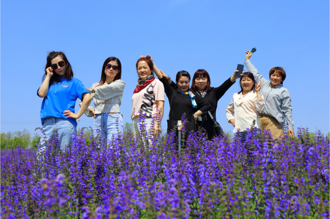 “春暖花开·畅游潍坊”文化旅游活动在安丘齐鲁酒地启动
