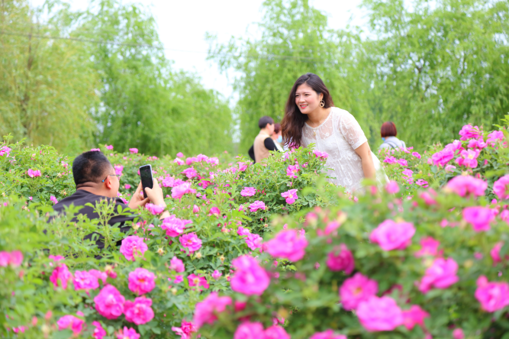 “春暖花开·畅游潍坊”文化旅游活动在安丘齐鲁酒地启动